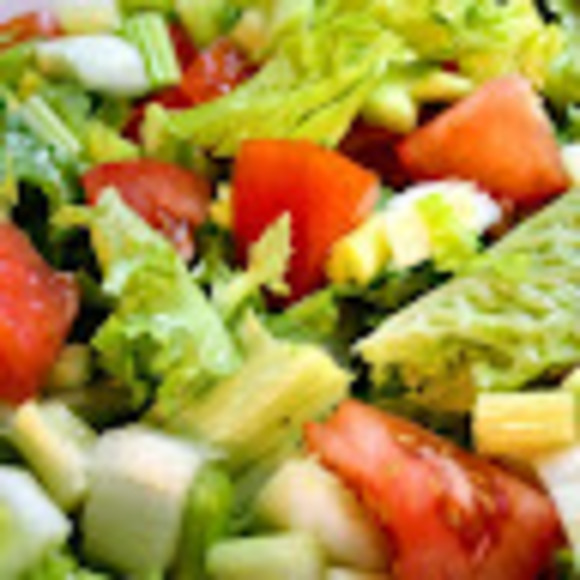netsaladnet